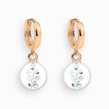 Creolen, Eucalyptus - Lückheide