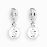 Creolen, Eucalyptus - Lückheide