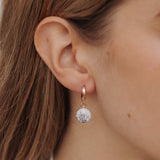 Creolen, Pretty Line - Lückheide