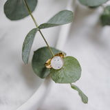 Ring, Eucalyptus - Lückheide