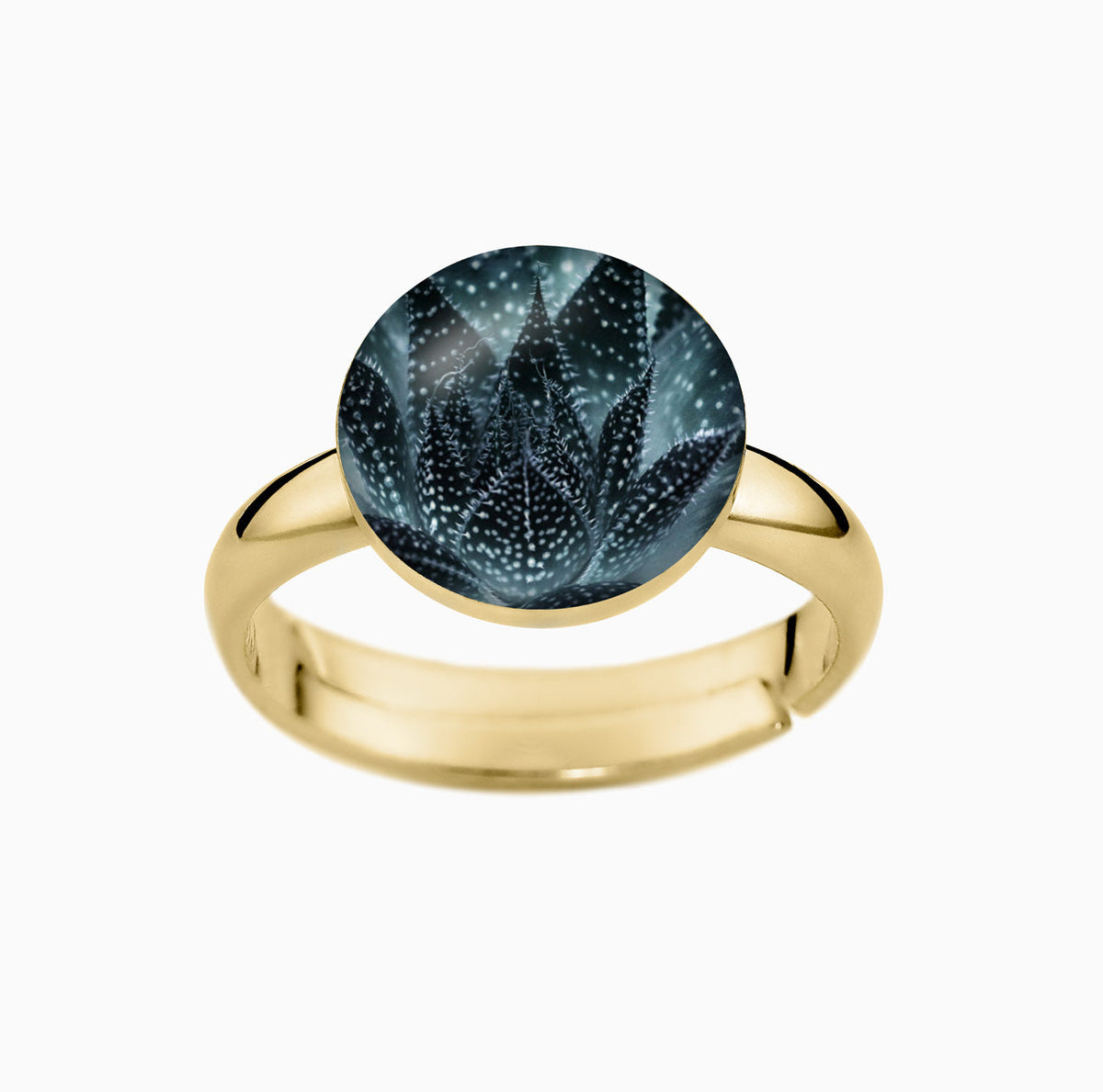 Ring, Aloe Vera  Lckheide
